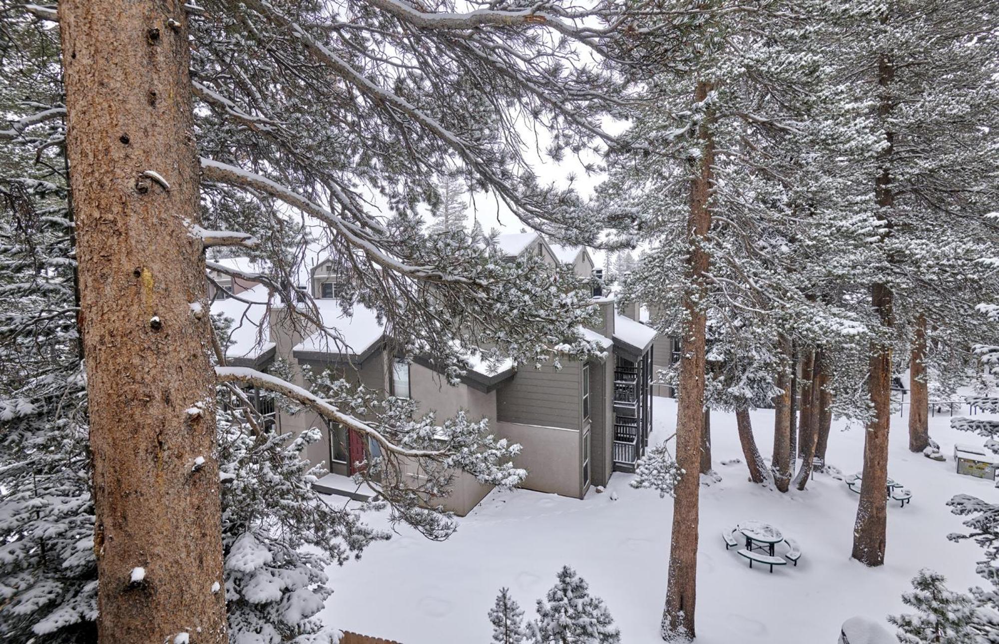 St Anton Wooded View 2-bedroom With Lockers *